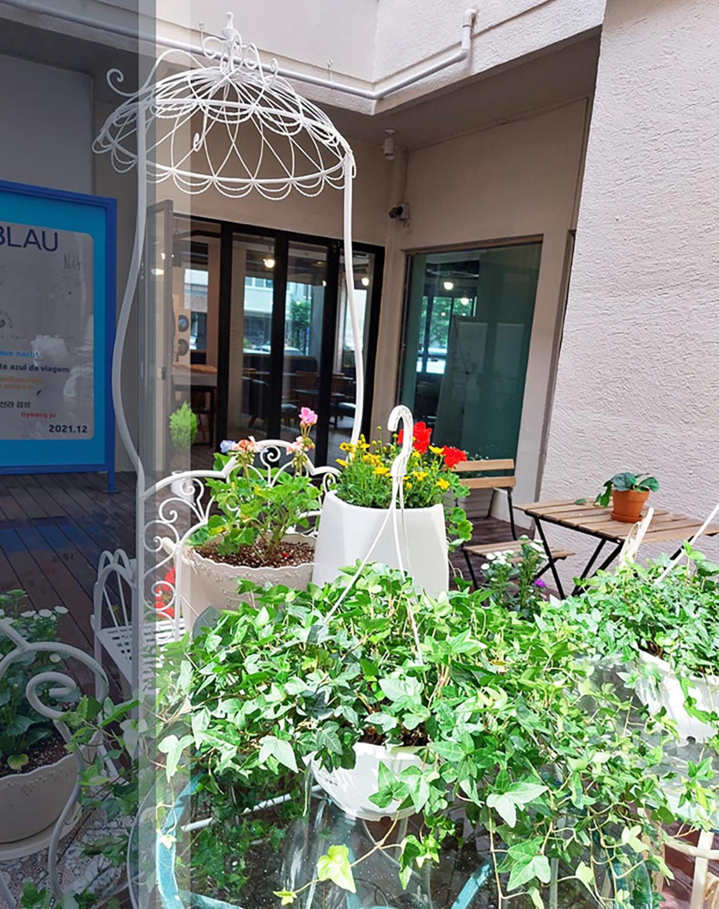 Blau Guesthouse Γκιονγκγού Εξωτερικό φωτογραφία